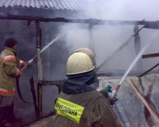 Пожар в Аннинском районе