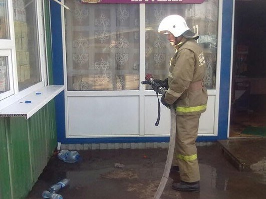 Пожар в Аннинском районе