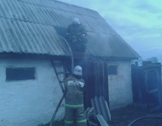 Пожар в Аннинском районе